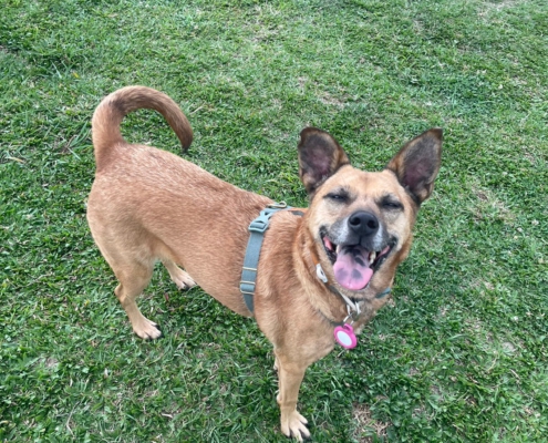 Fluv_IGOTYOU_Foster_焦糖中途日常_250611_1