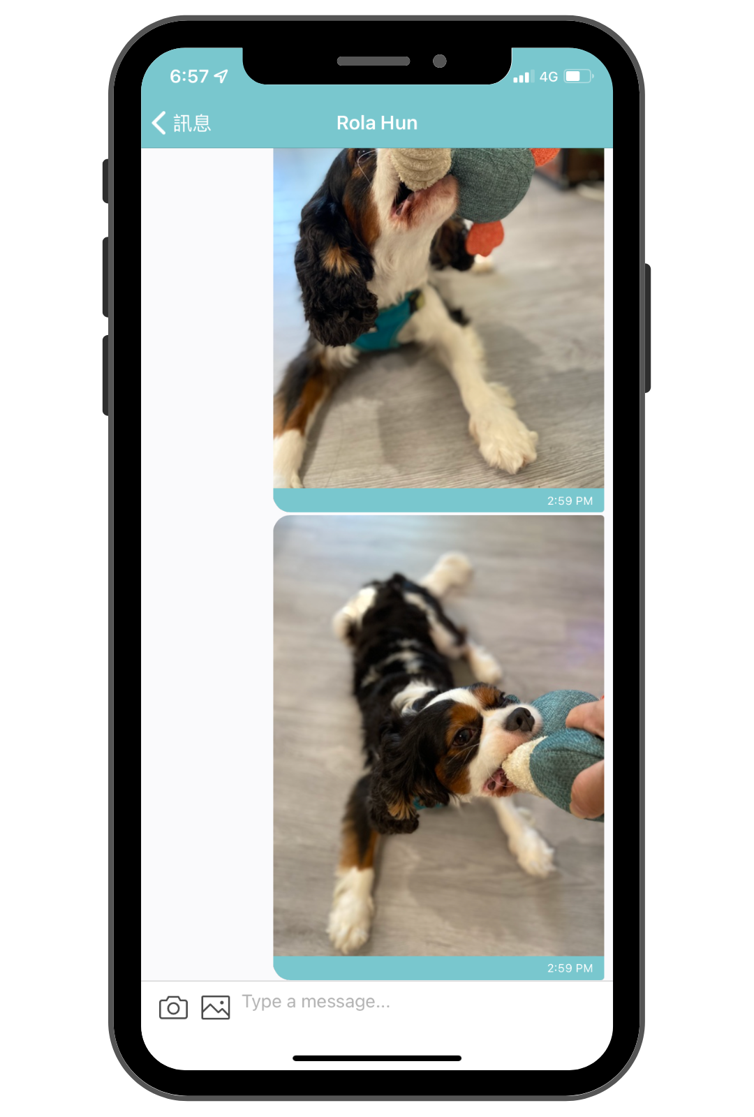 毛小愛保姆_安親寄宿服務回報_1