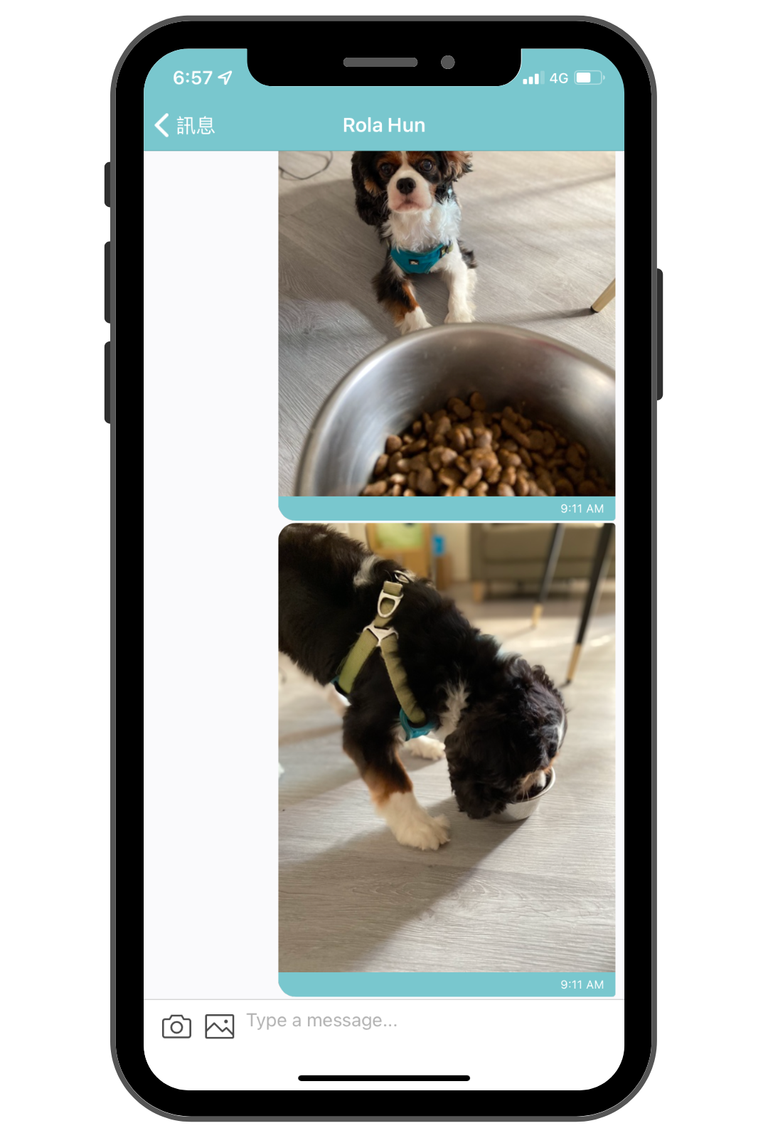 毛小愛保姆_安親寄宿服務回報_5