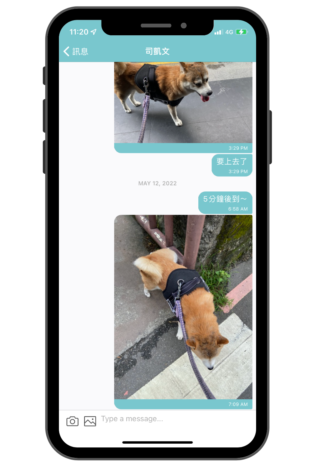 毛小愛保姆_陪伴散步服務回報_1