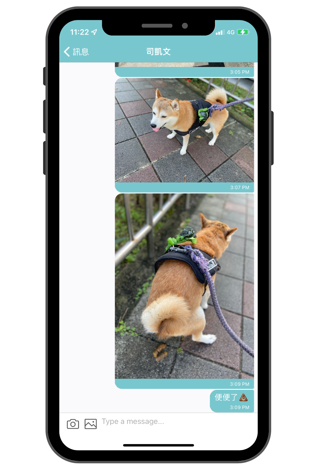 毛小愛保姆_陪伴散步服務回報_3