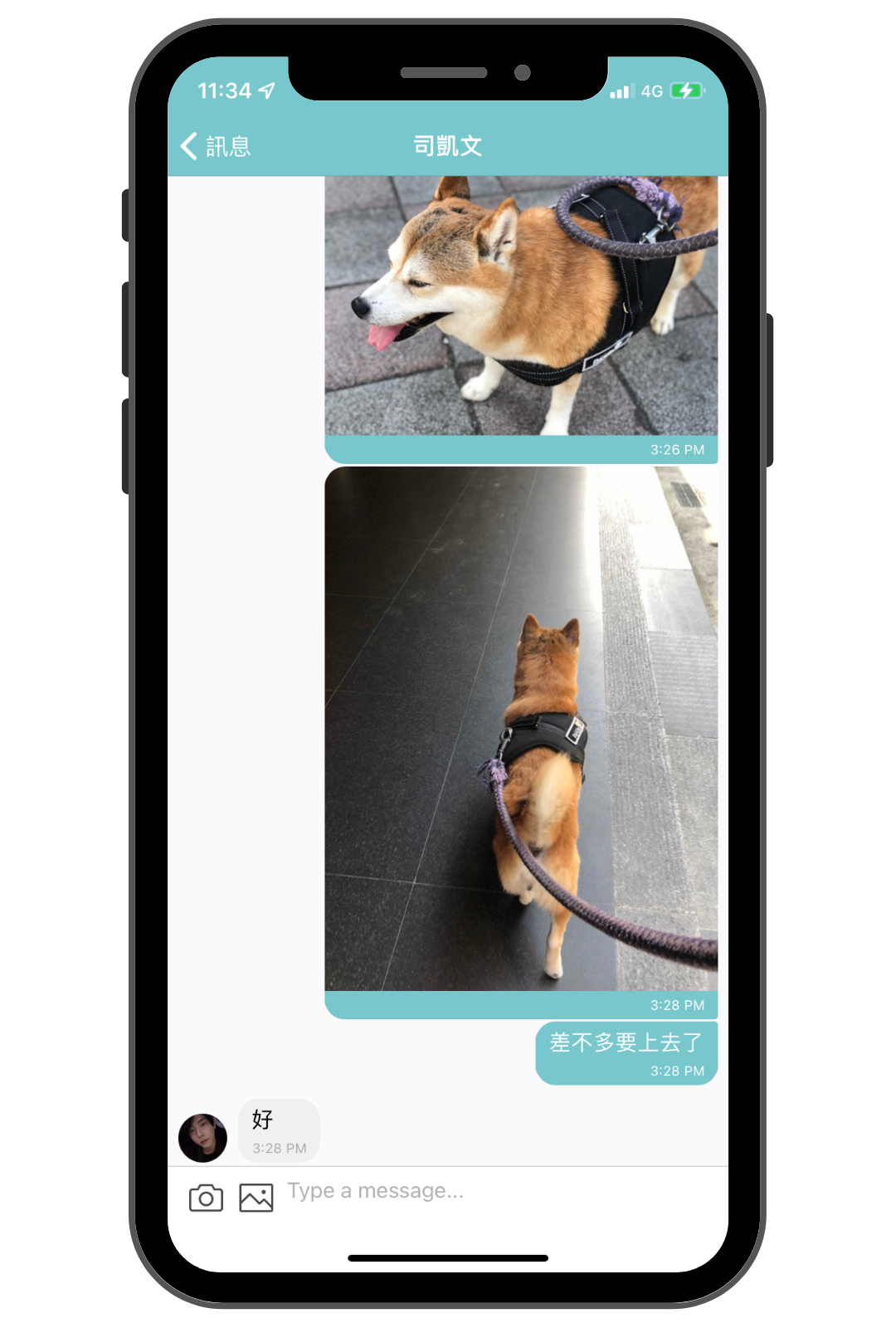 毛小愛保姆_陪伴散步服務回報_2