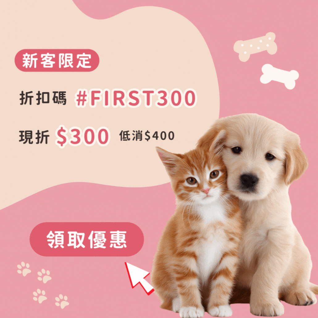 新客限定現折300