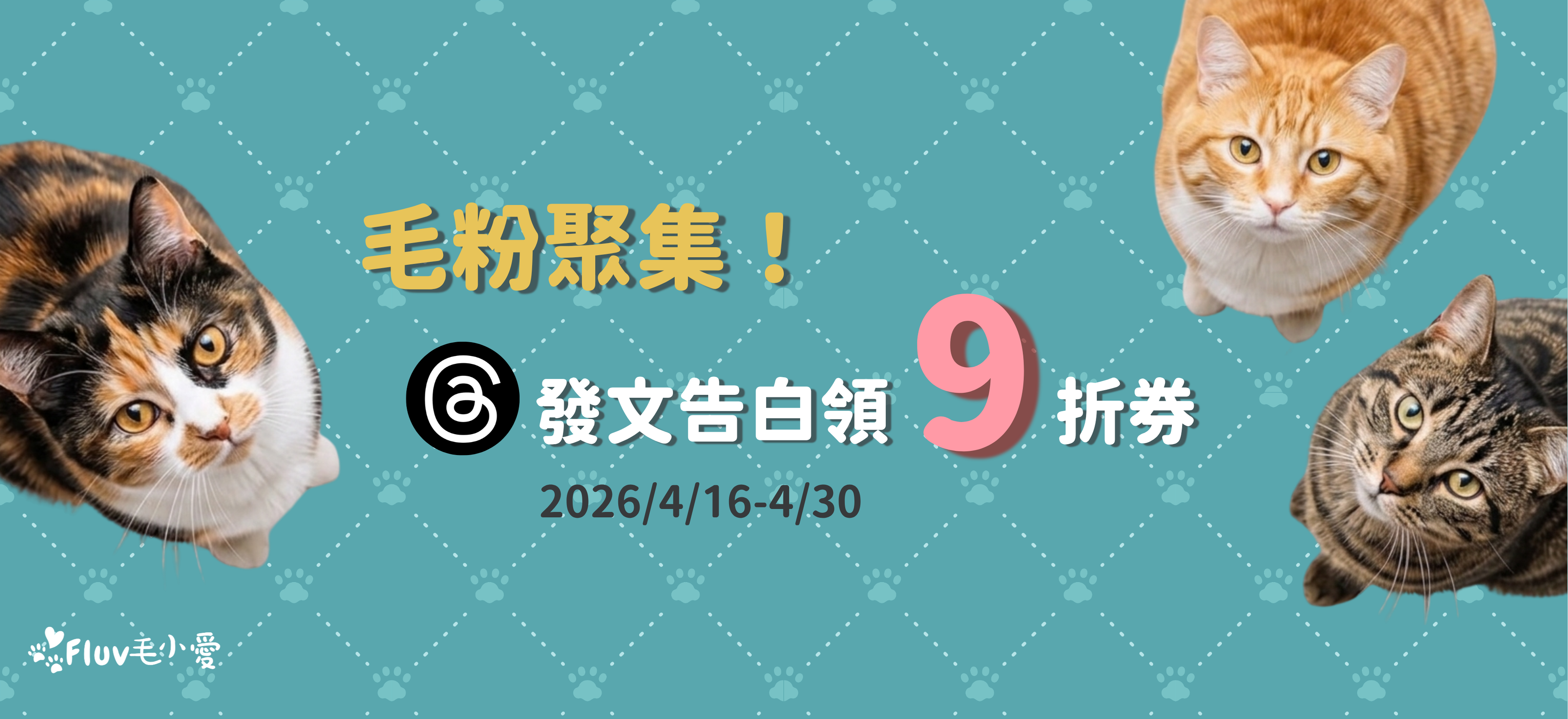毛粉聚集！告白領九折