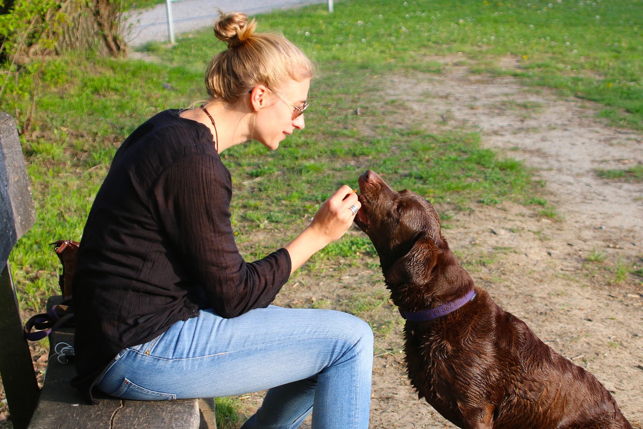 happy dog greeting owner at front door